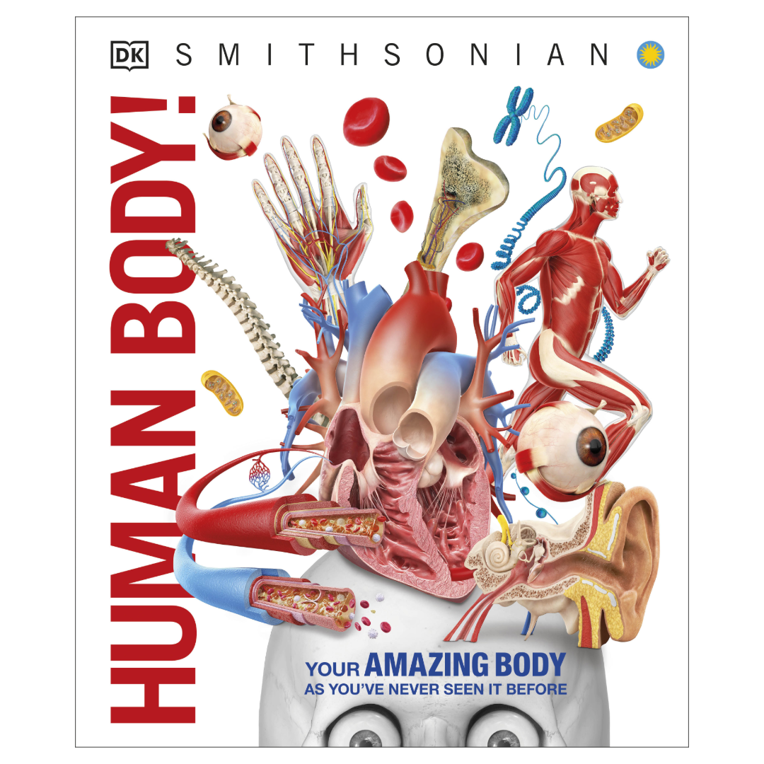 Knowledge Encyclopedia Human Body! — The Young Dreamers' Bookstore